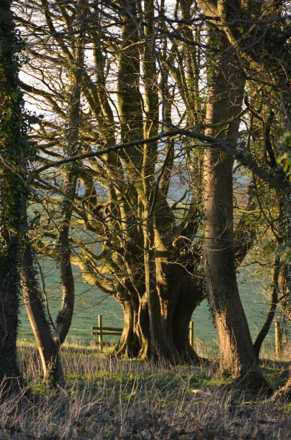 Top Parts Bed & Breakfast Abbotsbury Bagian luar foto