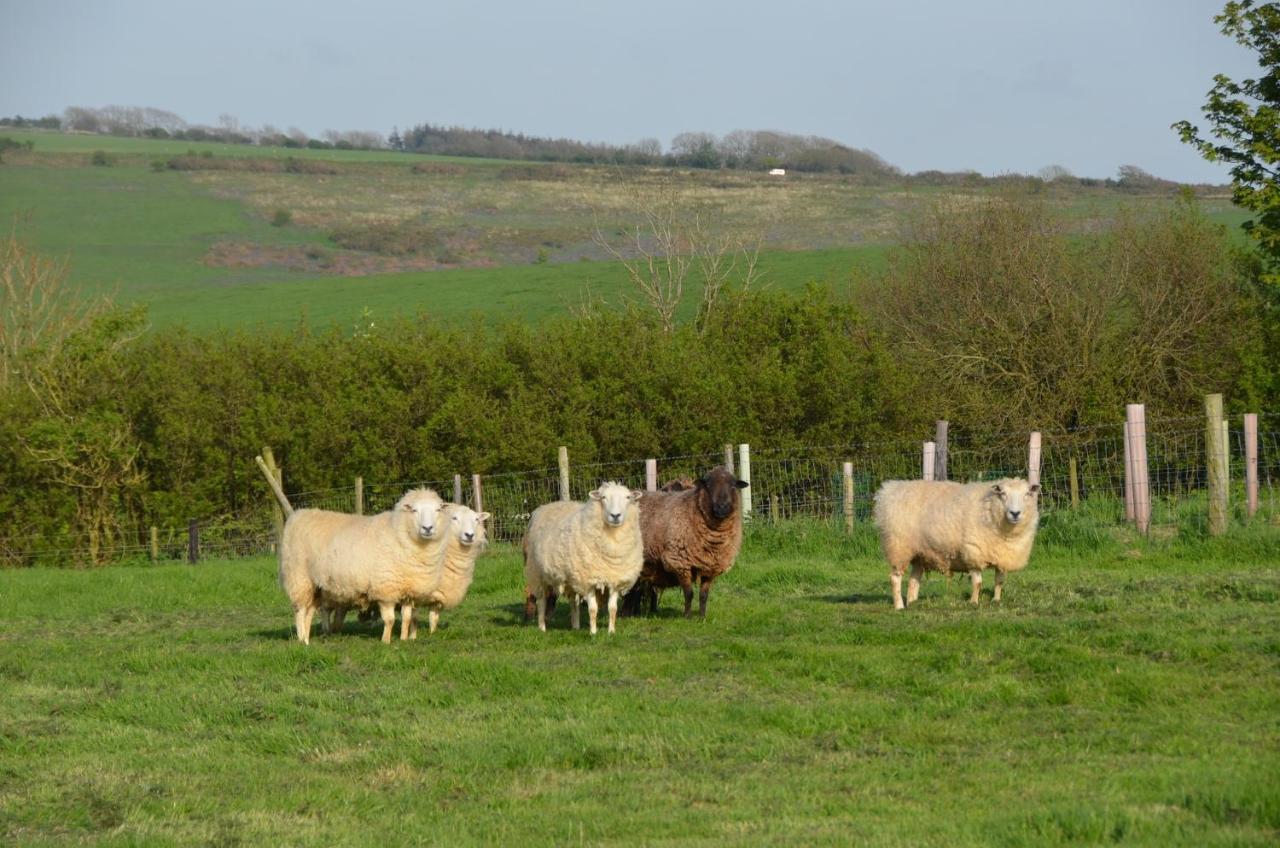Top Parts Bed & Breakfast Abbotsbury Bagian luar foto