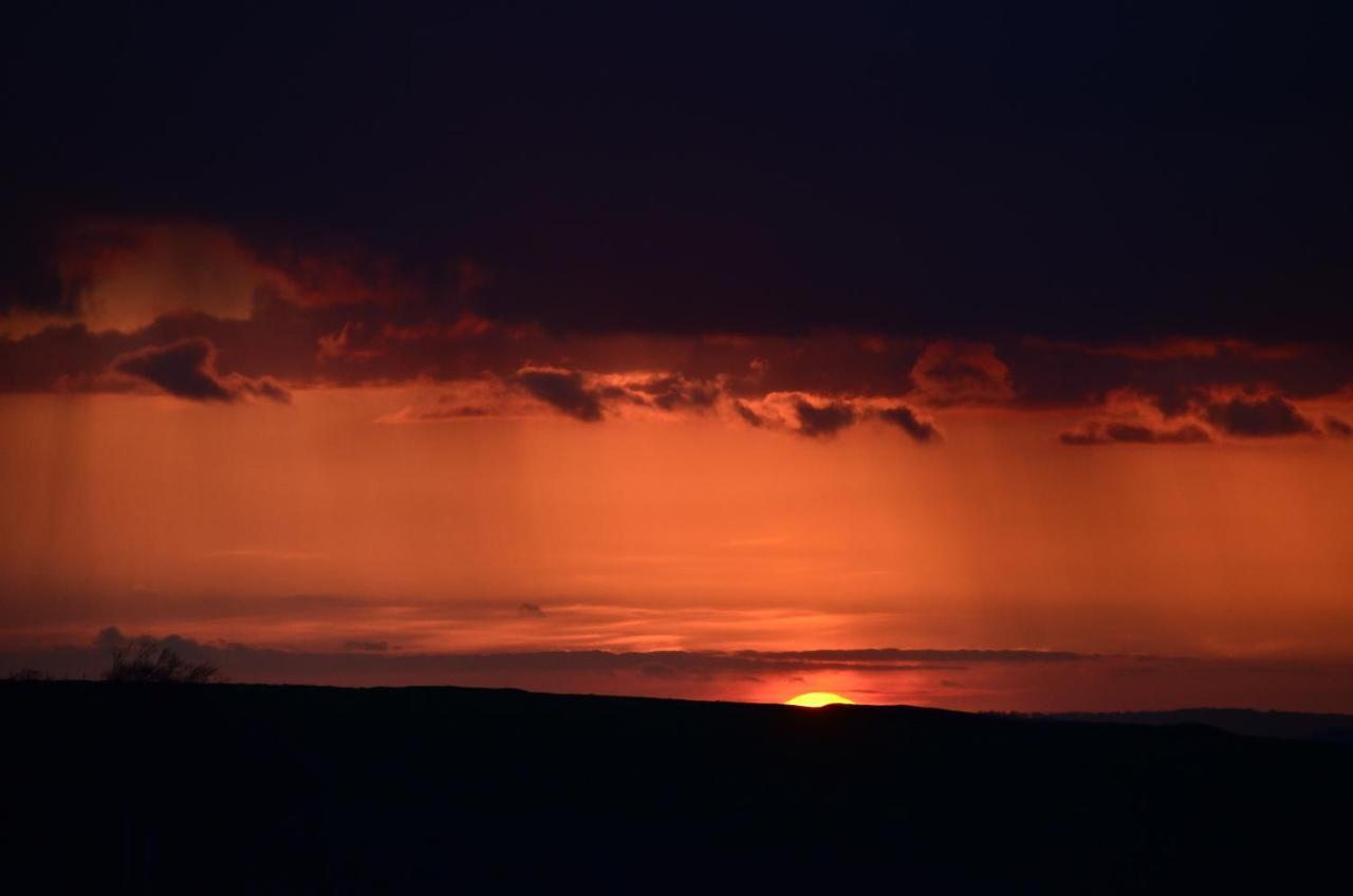 Top Parts Bed & Breakfast Abbotsbury Bagian luar foto